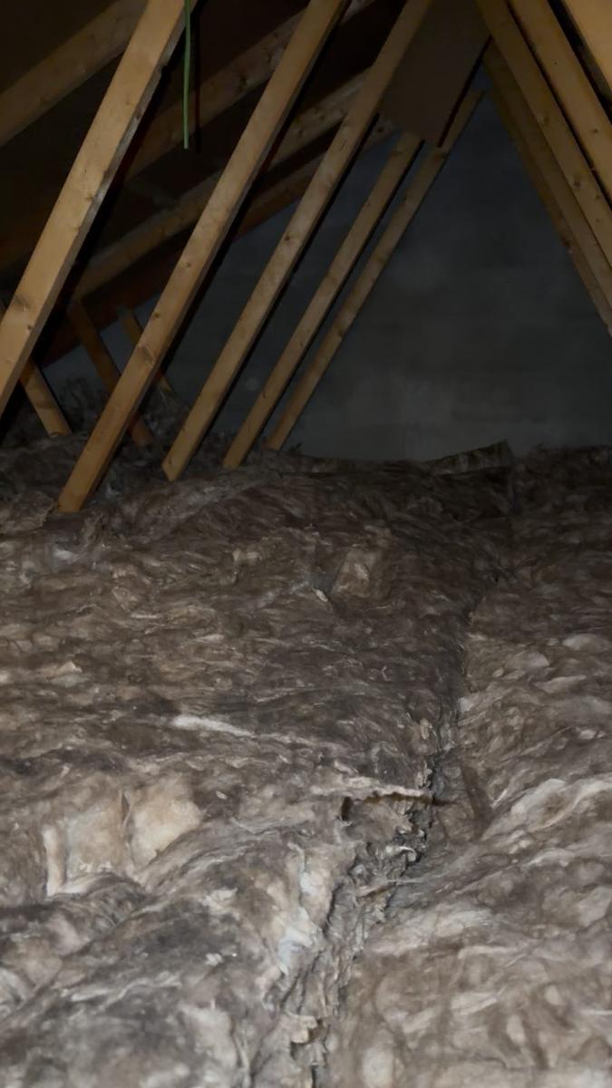Before: thin, flattened grey insulation between the ceiling ties of a trussed loft, Edinburgh