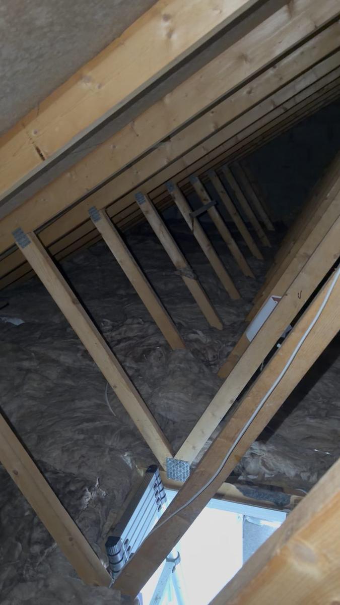Trussed loft with new insulation seen from the hatch, Edinburgh