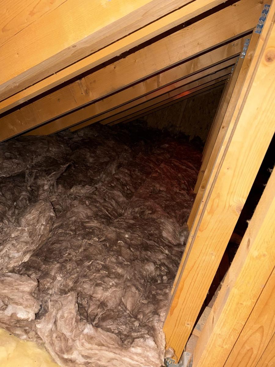 First layer of Earthwool run into the eaves with the ventilation gap kept clear, Inverness
