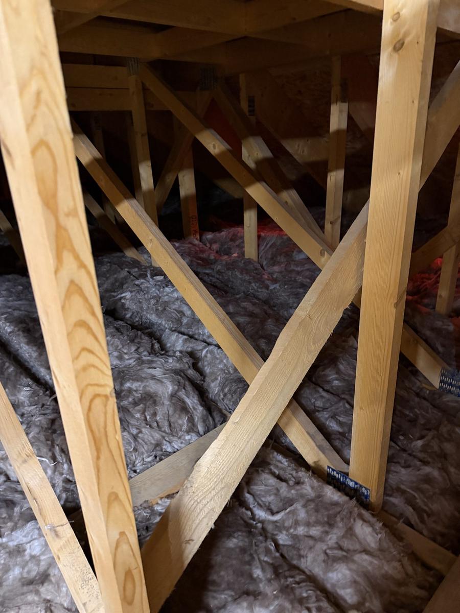 Roof timbers in a loft space