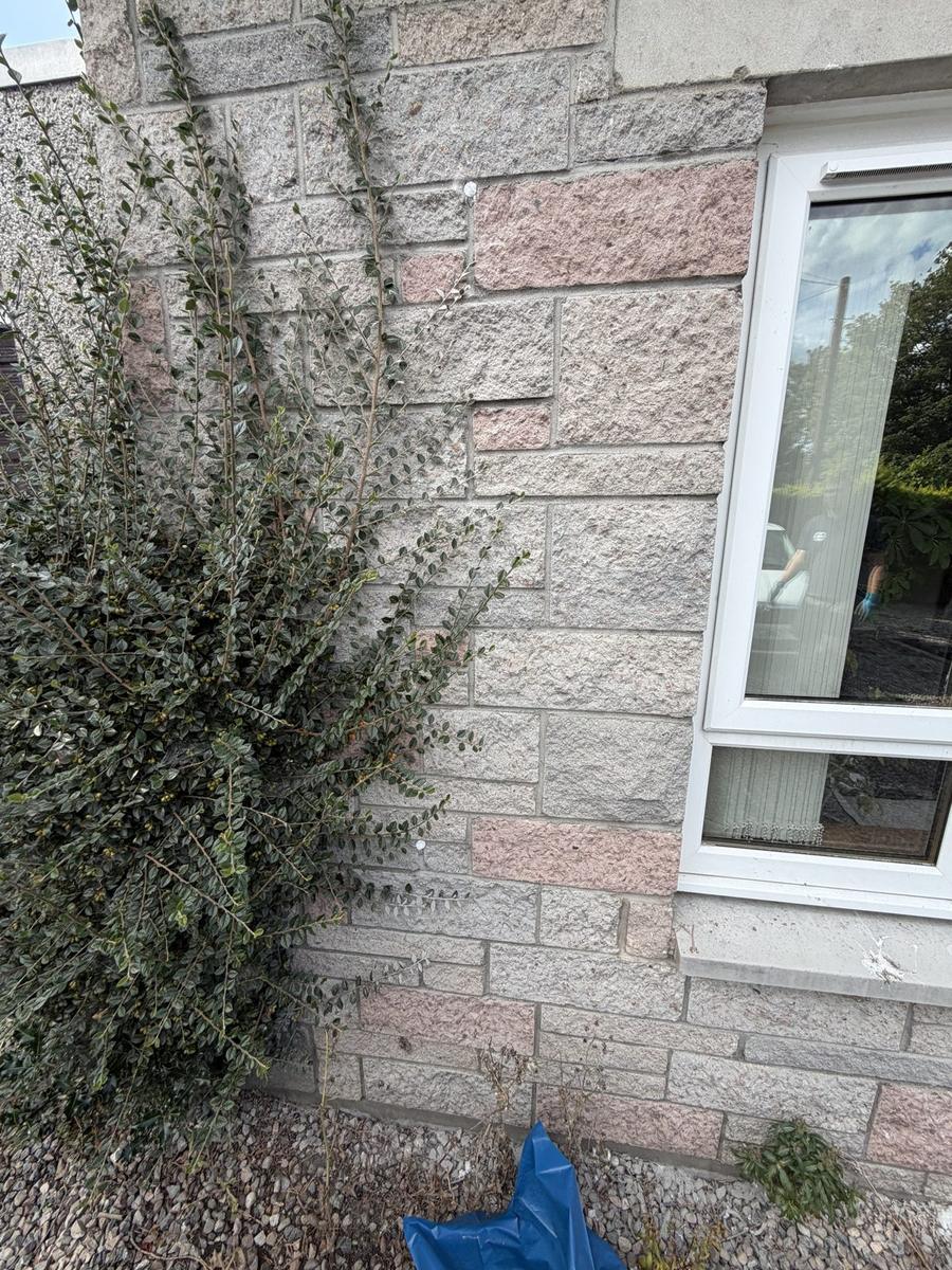 Sealed cavity wall injection holes on a granite wall, Nairn